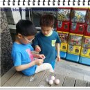 뽑기홀릭 이미지