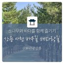 바우길 4구간 | 강릉 사천 바우길 여행 가이드