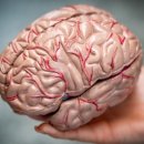 부산진구치매안심센터 이미지