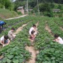 송죽마을 이미지