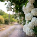 부성농장 이미지