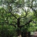 성마을농장 이미지