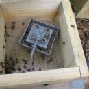 (日本語)養蜂用 白泉自動飼糧機 販賣 이미지