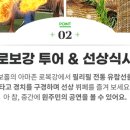 반딧불 프리미엄 이미지