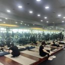 마이짐(MY GYM) 이미지