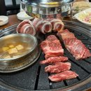 작전동소한마리 이미지