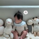 안지약국 | 2월의 중간에서