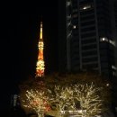 메이드 | 도쿄 아키하바라 메이드 카페 가격, 방문 후기