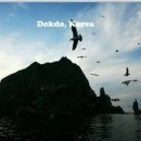 독도당구장 이미지