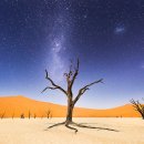 세계의 명소와 풍물 99 - 나미비아, 나미브사막의 데드블레이 이미지