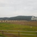 군산푸드