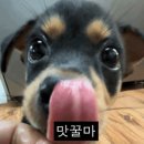 행구