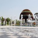 선필디자인