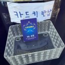 안현로 | 강릉 애견동반펜션 나인원펜션 B동 4호 2박 내돈내산 후기