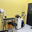 애견스케치 이미지