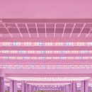 김영배농장 이미지