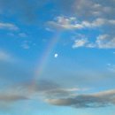 꿀단지모텔 | 호주 워홀 24.04.12~ing D+134일간의 이야기 바이아다에서의 생활