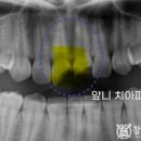 부치과의원 이미지