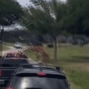 기린어린이공원 이미지