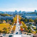 충남대로 이미지