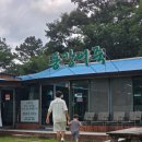 강원흥업(주) | 원주 흥업면 맛집 :: 동강어죽 ::