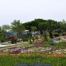 태화강국가정원 이미지