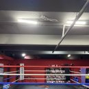 홍수환 JR복싱 이미지