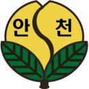 서울안천초등학교 이미지