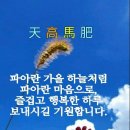 9월7~8일 주말 출석글 이미지