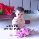 끌림 콘서트 6/ 벨리씨미 콘서트 | 다짐은, 세워올린 모래성은 심술이 또 터지면 무너지겠지만 6월(2)