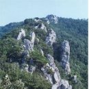 종철목장 Daum카페