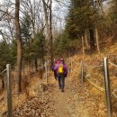 오솔길 농장 이미지