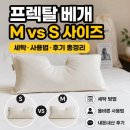 돈'S | 프렉탈 베개 내돈 후기 m s 사이즈 비교 이 글 보고 결정하세요!