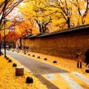 광화문연가 이미지