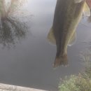 송산2교 이미지