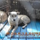 산곡로 피플워치