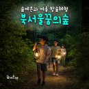 숲에온