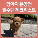 이담펫 이미지