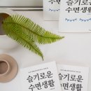 바른수면 머니투데이