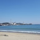 동해남부선 거제역 앞 이미지