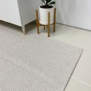 선진세탁소 | 러그 사계절용 카페트 강아지키우는 집에 찰떡!세탁기로 세탁가능!선진 거실 러그 진심 찐 추천(내돈내산)