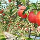 거창-북상-7 이미지