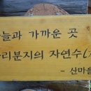 독도 카 서비스 이미지