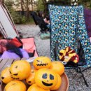 평화강변 수목캠핑장 이미지