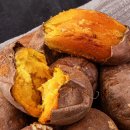 서송푸드 이미지