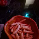 엄지노래연습장 이미지