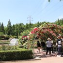 장미공원 주차장 입구 이미지