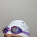 바이올렛 | 스윗스윔 푸아송 미러 수경 바이올렛 착용 후기