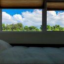 벵디1967 이미지