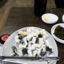 힘찬 민물 장어 이미지